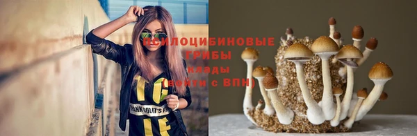 a pvp Новодвинск