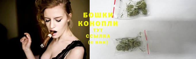 a pvp Новодвинск