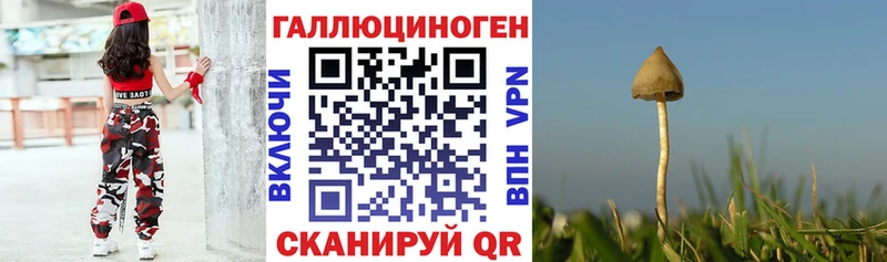 мега tor  Пойковский  Псилоцибиновые грибы MAGIC MUSHROOMS 